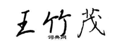 王正良王竹茂行书个性签名怎么写
