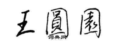 王正良王圆园行书个性签名怎么写