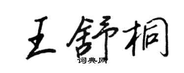 王正良王舒桐行书个性签名怎么写