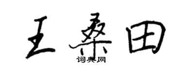 王正良王桑田行书个性签名怎么写