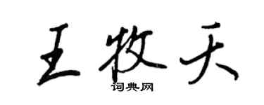 王正良王牧夭行书个性签名怎么写