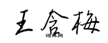 王正良王含梅行书个性签名怎么写