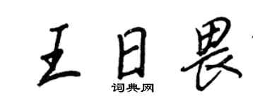 王正良王日畏行书个性签名怎么写