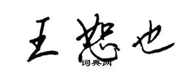 王正良王恕也行书个性签名怎么写