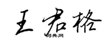 王正良王君格行书个性签名怎么写