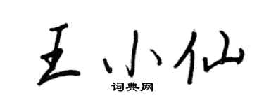 王正良王小仙行书个性签名怎么写