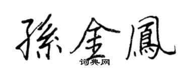 王正良孙金凤行书个性签名怎么写