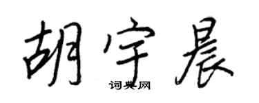 王正良胡宇晨行书个性签名怎么写