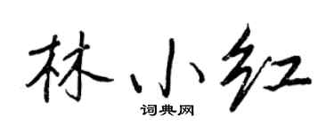 王正良林小红行书个性签名怎么写