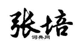 胡问遂张培行书个性签名怎么写