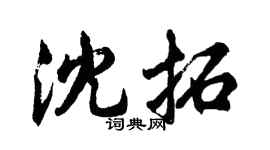 胡问遂沈拓行书个性签名怎么写