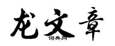 胡问遂龙文章行书个性签名怎么写