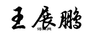 胡问遂王展鹏行书个性签名怎么写