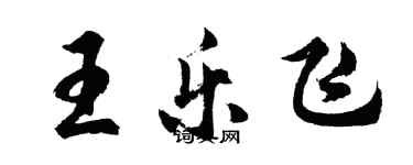 胡问遂王乐飞行书个性签名怎么写