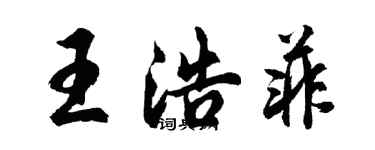 胡问遂王浩菲行书个性签名怎么写