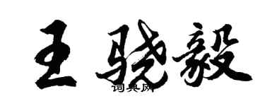 胡问遂王骁毅行书个性签名怎么写
