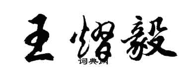 胡问遂王熠毅行书个性签名怎么写