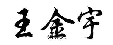 胡问遂王金宇行书个性签名怎么写