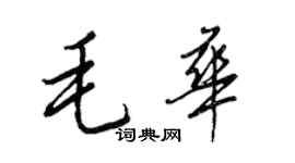 王正良毛华行书个性签名怎么写