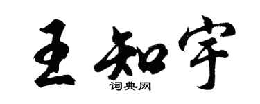 胡问遂王知宇行书个性签名怎么写