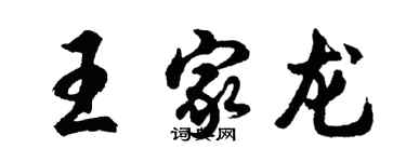 胡问遂王家龙行书个性签名怎么写