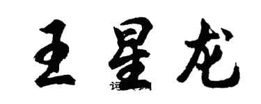 胡问遂王星龙行书个性签名怎么写