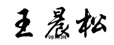 胡问遂王晨松行书个性签名怎么写