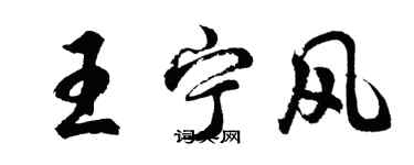胡问遂王宁风行书个性签名怎么写