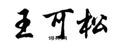 胡问遂王可松行书个性签名怎么写