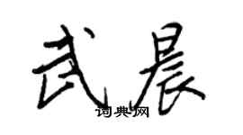 王正良武晨行书个性签名怎么写