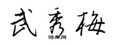 王正良武秀梅行书个性签名怎么写