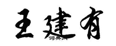 胡问遂王建有行书个性签名怎么写