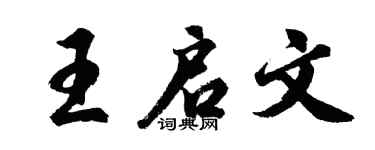 胡问遂王启文行书个性签名怎么写