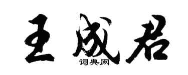 胡问遂王成君行书个性签名怎么写