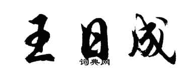 胡问遂王日成行书个性签名怎么写