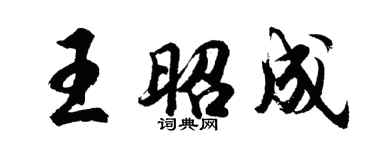 胡问遂王昭成行书个性签名怎么写