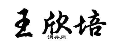 胡问遂王欣培行书个性签名怎么写