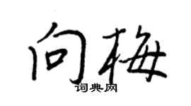 王正良向梅行书个性签名怎么写