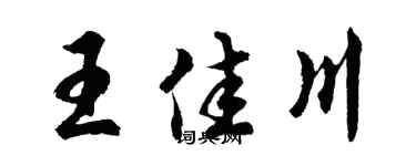 胡问遂王佳川行书个性签名怎么写