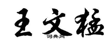 胡问遂王文猛行书个性签名怎么写