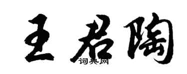 胡问遂王君陶行书个性签名怎么写
