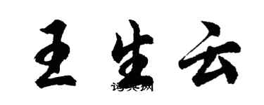 胡问遂王生云行书个性签名怎么写