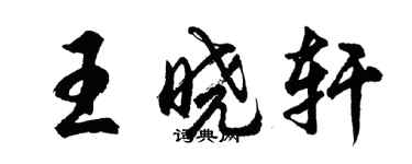 胡问遂王晓轩行书个性签名怎么写
