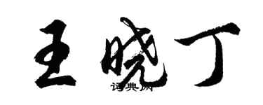 胡问遂王晓丁行书个性签名怎么写