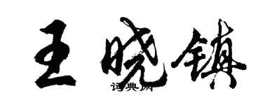 胡问遂王晓镇行书个性签名怎么写