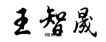 胡问遂王智晟行书个性签名怎么写