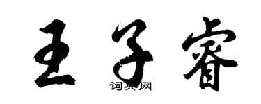 胡问遂王子睿行书个性签名怎么写