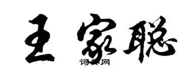 胡问遂王家聪行书个性签名怎么写