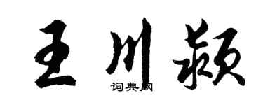 胡问遂王川颍行书个性签名怎么写