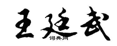 胡问遂王廷武行书个性签名怎么写